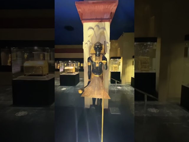 The Treasury of Tutankhamun - the Eternal Guards of the Pharaoh #eyewitnessus