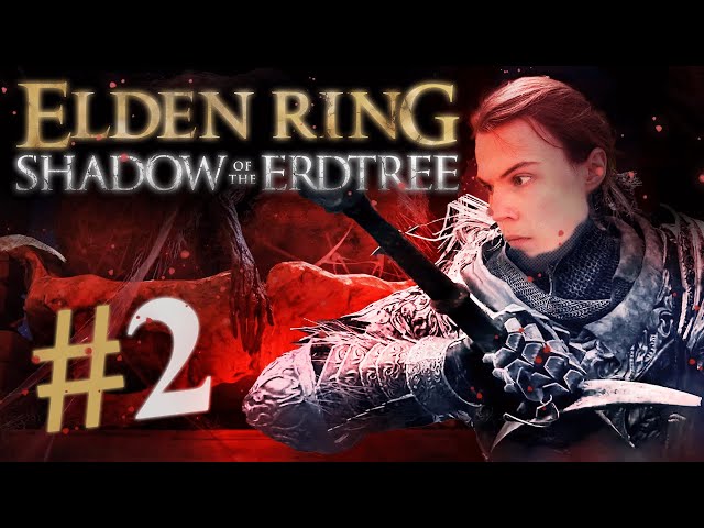 GAMERS. ELDEN RING SHADOW OF THE ERDTREE. - 0 DEATHS HARDCORE GAMERS - #starforgesystems