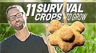 Survival crops