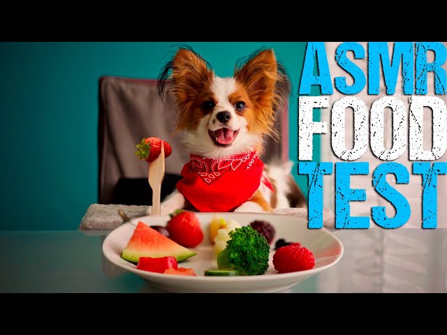 Dog Eats Fruits 🍓 and Vegetables 🥦 ASMR Food Test!
