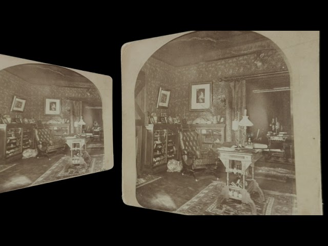 Furnishings and Dog in the Study (VR 3D still-image)