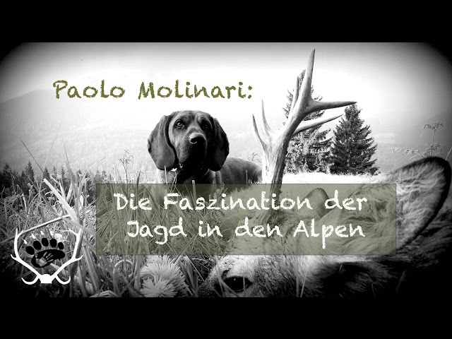 Ein Jäger erzählt von seiner Passion: Die Faszination der Jagd in den Alpen