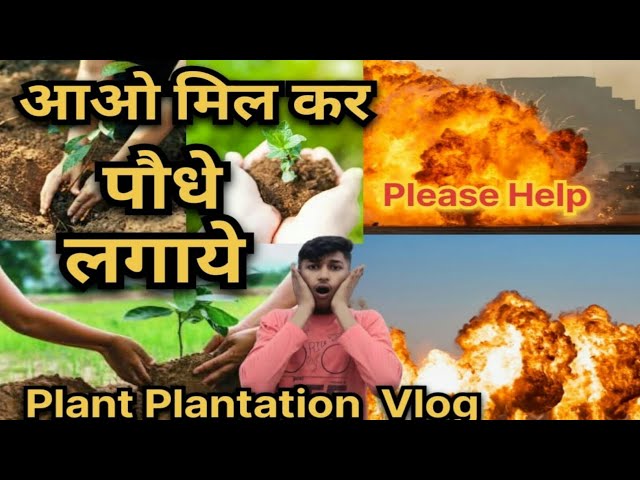Please Help Save Trees /Plant plantation vlog /Plant Plantation/Save Tree Save Earth / Vlog