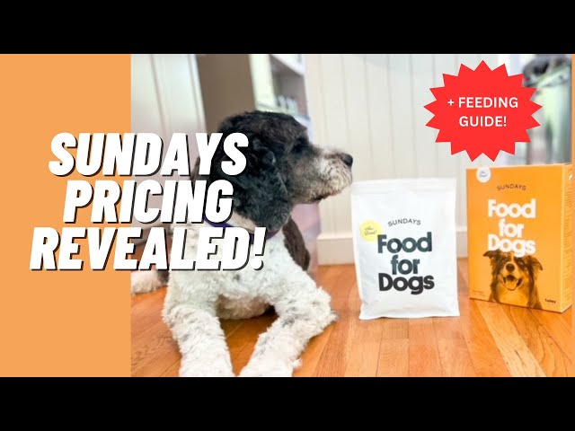 Sundays Pricing Revealed & How Much to Feed Your Dog - New Turkey Recipe Review | MealFinds