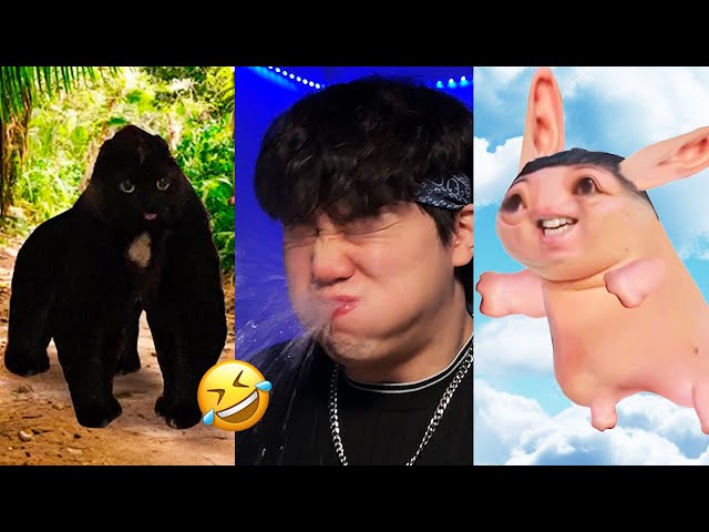 BEST JeffreyX Funny Try Not To Laugh Challenge Compilation 🤣 2024 Part 10