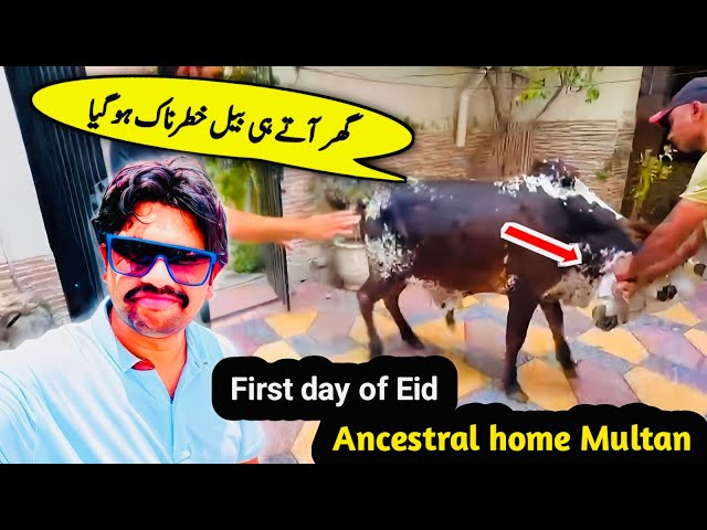 Spent the first day of Eid at his ancestral home in Multan and offered sacrifice | yasir malik vlog