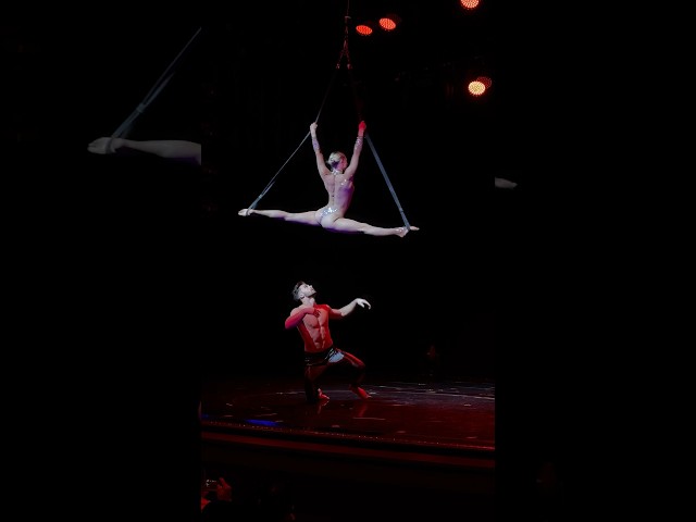 Splits & Straps 💋 Would you fly? #dance #circuslife #circus #aerial #aerialstraps