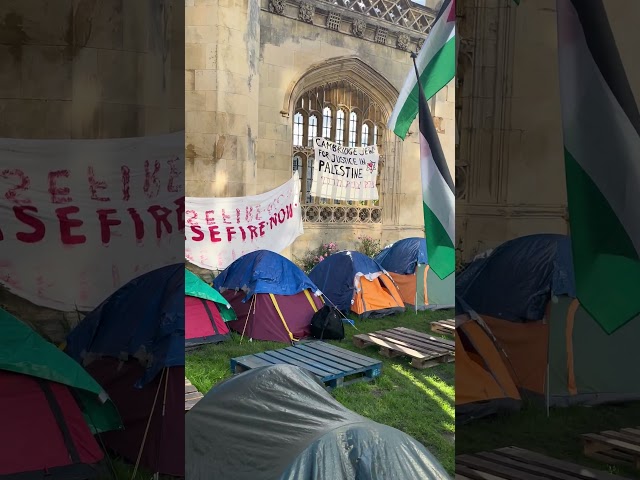 “Cambridge for Palestine” sit-in protests outside Cambridge University