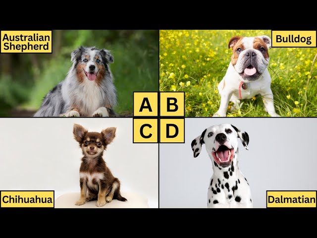 ABC Dogs | Learn Alphabet from A to Z | Dog Breeds for Kids