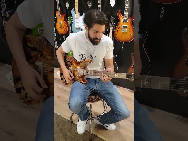 Playing a $19,000 Guitar!