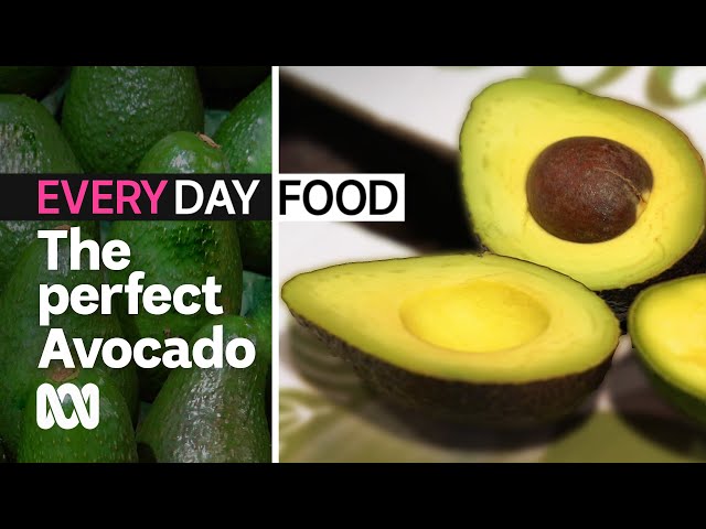 How to pick the perfect avocado? | Everyday Food | ABC Australia