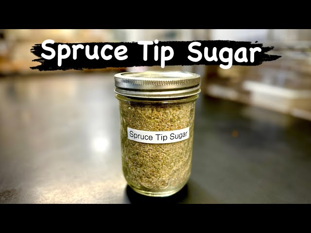 Spruce Tip Sugar: Amazingly Good, Extraordinarily Simple