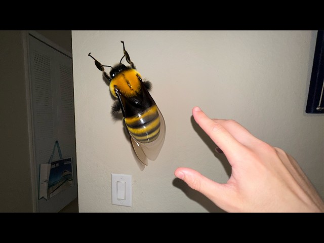 why did I GRAB this BEE...
