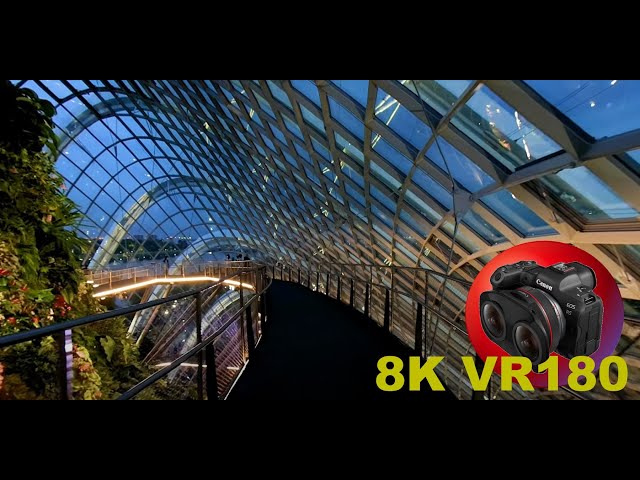 COME FOR A WALK through the Cloud Forest Rainforest Dome 8K/4K VR180 3D (Travel Videos/ASMR/Music)