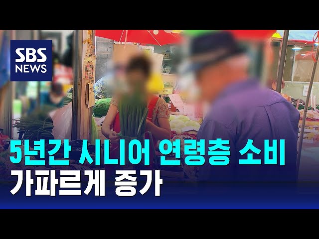 최근 5년간 시니어 연령층 소비 '가파른 증가' / SBS