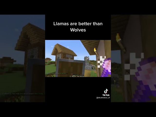 Llamas are better than Wolves in Minecraft 😳?!