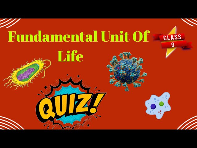 Quiz-Fundamental Unit Of Life Class 9th  | Classmate Corner⚡