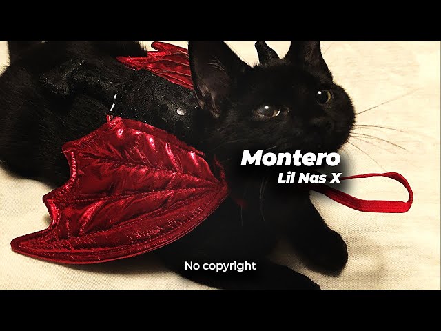 Montero - LIL NAS X 🎵 [NO COPYRIGHT REMIX]