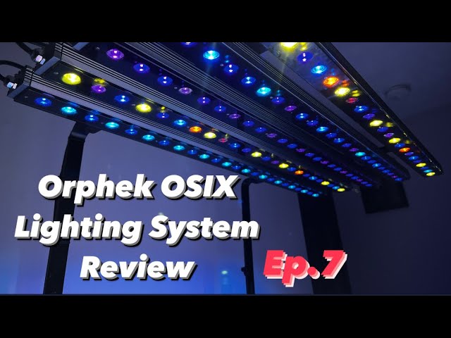Ep.7 | Orphek OSIX lighting System - Setup, Par Reading & Review