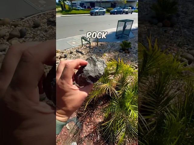 Can you spot where I BARELY missed the geocache earlier in this video? 💀