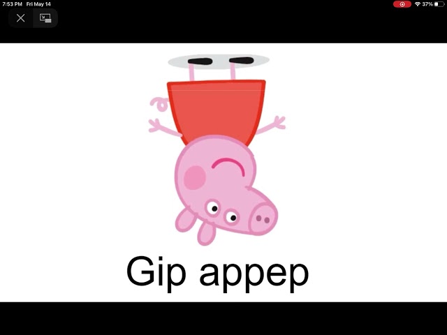 Gip appep