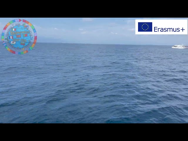 Erasmus Activity  - Canet whale and dolphin watching cruise, France