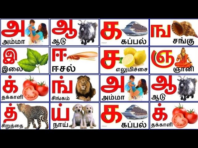 உயிர் எழுத்துக்கள்| மெய் எழுத்துக்கள் |உயிர்மெய் எழுத்துக்கள்|tamil alphabets|Tamil consonants