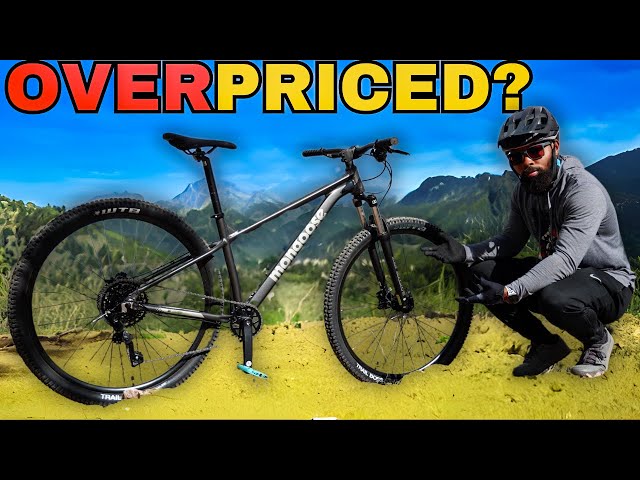 Is This REALLY a Budget Friendly Mountain Bike?