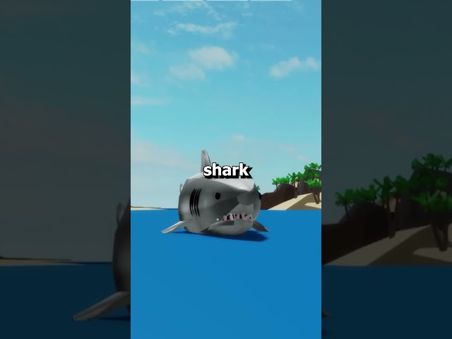 Roblox Brookhaven 🏡RP NEW YEARS 2024 SHARK UPDATE (Sharks, and Island Homes)