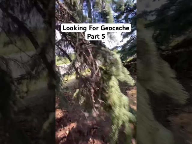 Looking for geocache part 5 #geocaching #shorts #phonk