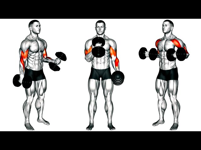 Ultimate Dumbbell Workout for Bigger Biceps