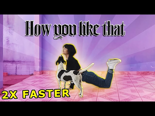 [2X FASTER] BLACKPINK - HOW YOU LIKE THAT - Dance Cover? by Frost