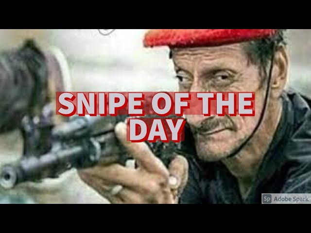 Warzone - Snipe Of The Day