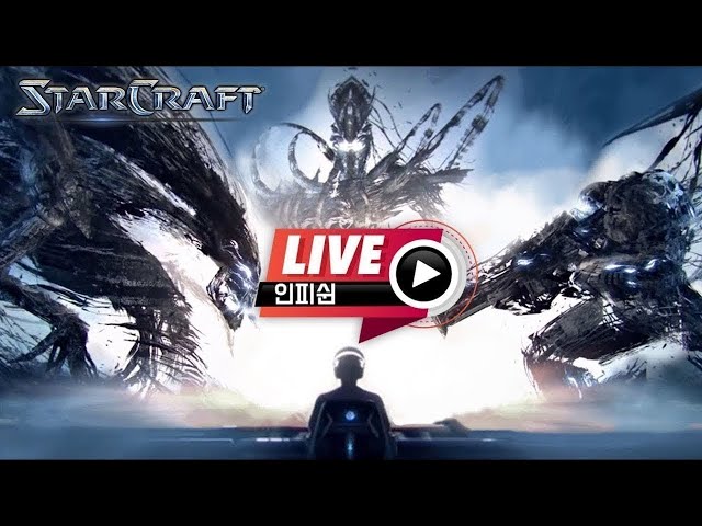 【 인피쉰 생방송 Live 】 스타 빨무 팀플 스타크래프트 Starcraft