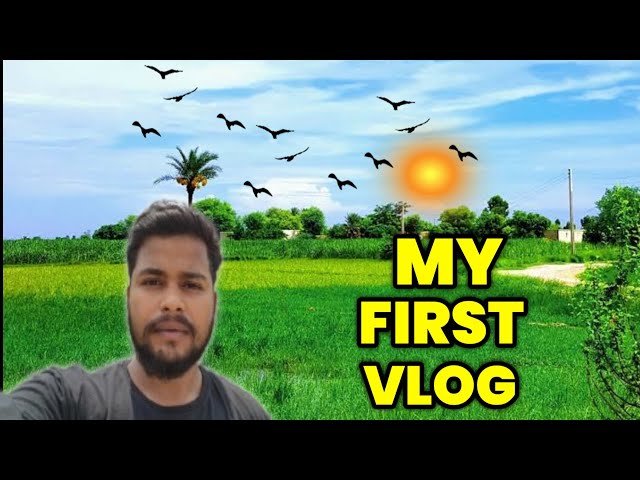my first vlog || my first vlog viral🥰 || Ranchi blogger