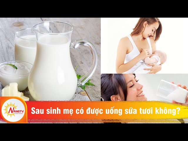 Mẹ mới sinh con có được uống sữa tươi không?