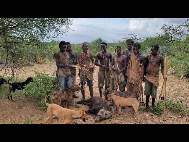 How do Hadzabe hunter Gatherers sustained their life & traditional for over 50,000 years | BEST 2022