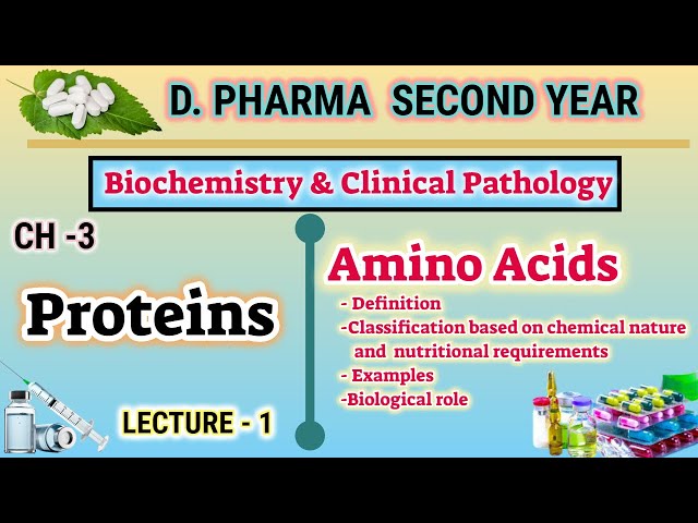 Amino Acid | CH-3 | L-1 | Proteins | Biochemistry and Clinical Pathology | D.Pharm Second year
