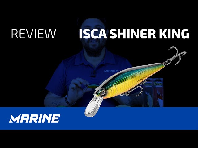 ISCA SHINER KING REVIEW - MARINE