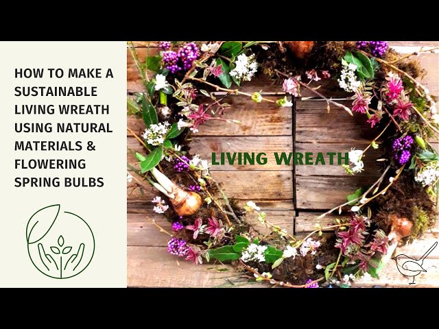 HOW TO MAKE A BEAUTIFUL LIVING WREATH WITH SPRING BULBS ON A WILLOW BASE HANDCRAFTED FROM SCRATCH