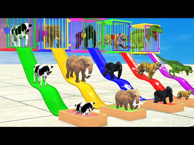 DON'T CHOOSE The WRONG WATERSLIDE With Elephant, Cow, Tiger Gorilla Escape Room Challenge Cage Game