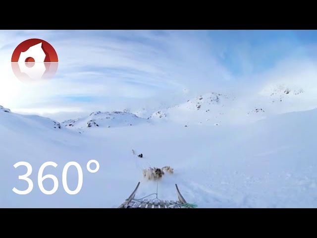 360° Dogsledding Tour in East Greenland