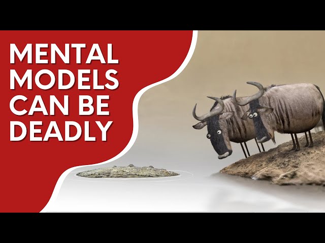 Mental models can be deadly | Real World Examples