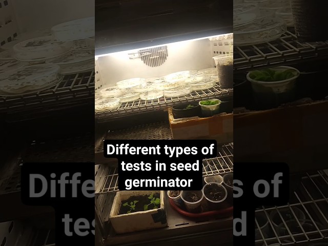 Different types of tests in Seed germinator | #agriculture #viral #seedgerminator#germinator #test
