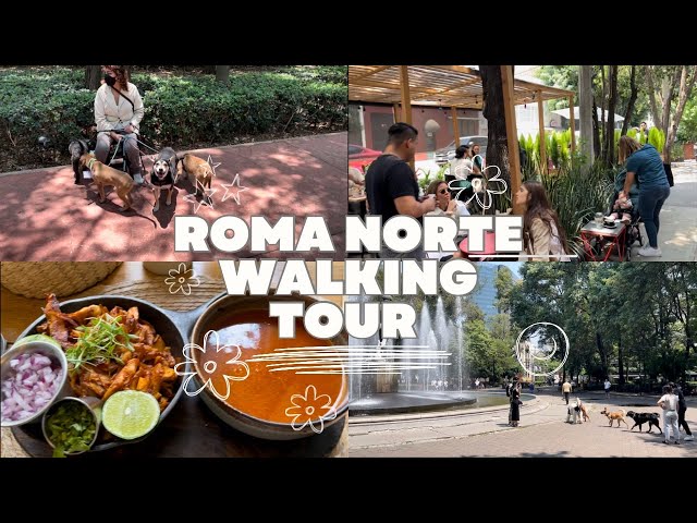 Exploring Mexico City's Trendiest Neighborhood - Roma Norte 2023