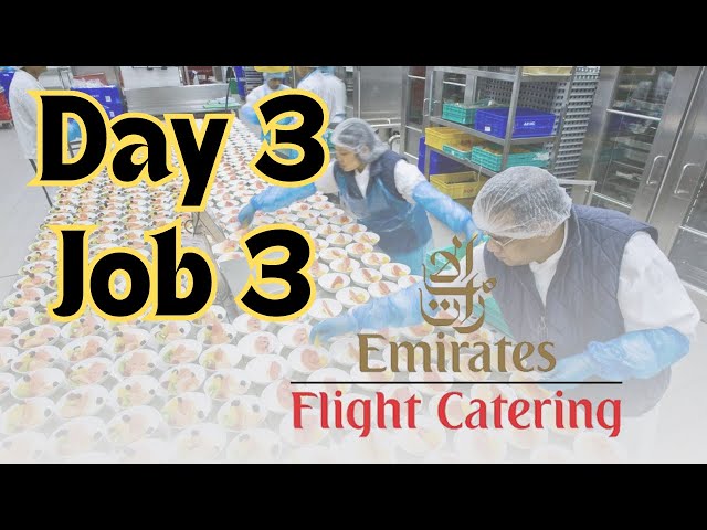 Applying for a Job at Emirates Flight Catering Company - My Application Experience!