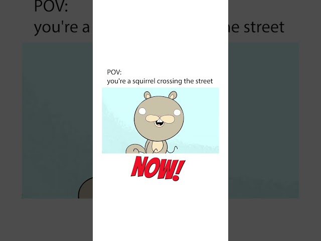 How Squirrels Cross the Street.. #animatedcomedy #animation #funnyanimation