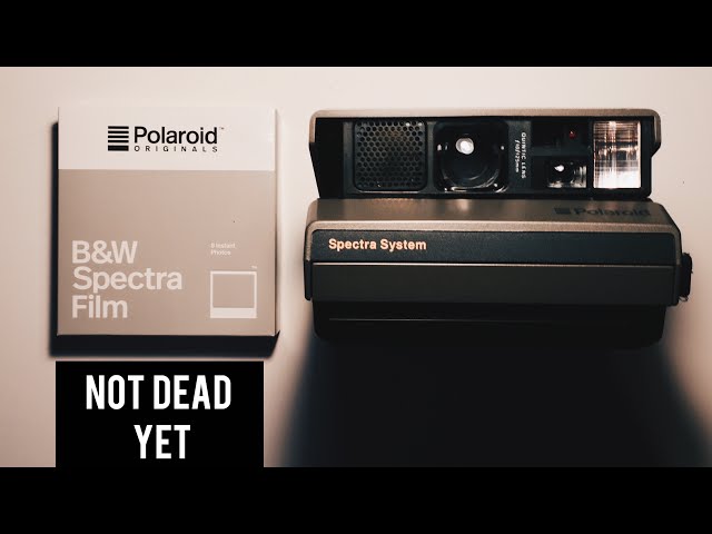 Polaroid Spectra Shooting