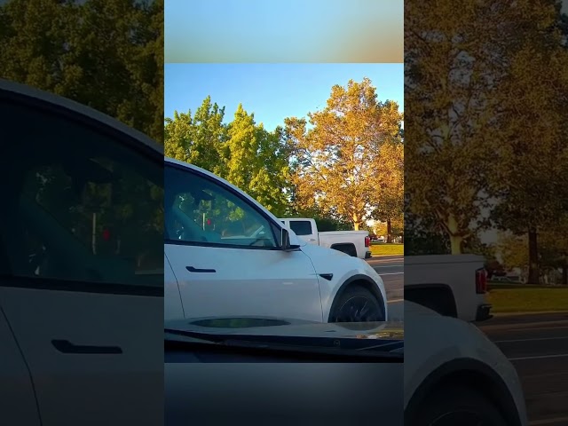 Most Entitled Moment of Road Rage Ever