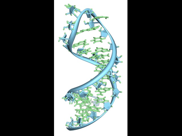 RNA | Wikipedia audio article